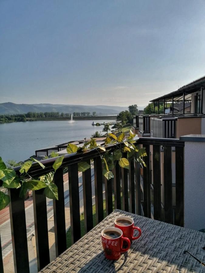 Appartamento Dionis Veliko Gradište Esterno foto